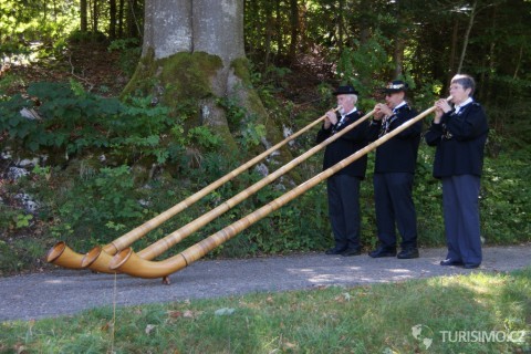 Alphorn, autor: twicepix